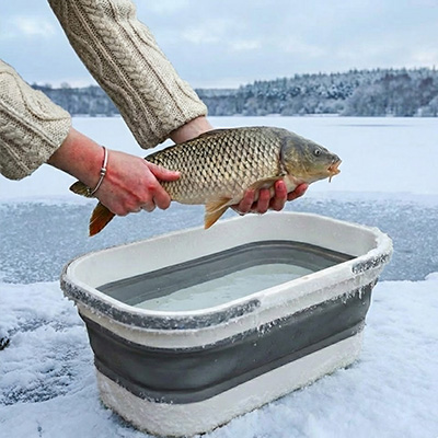 Риба та морепродукти